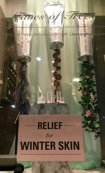 Photo of Leaves of Trees window display